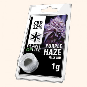 Photo résine CBD 22% a la saveur Purple Haze