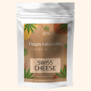 Photo fleur CBD Swiss Cheese greenhouse