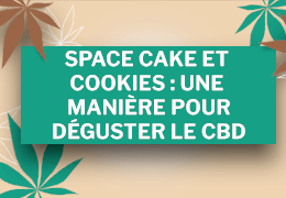 Space Cake et Cookies : une manière pour déguster le CBD