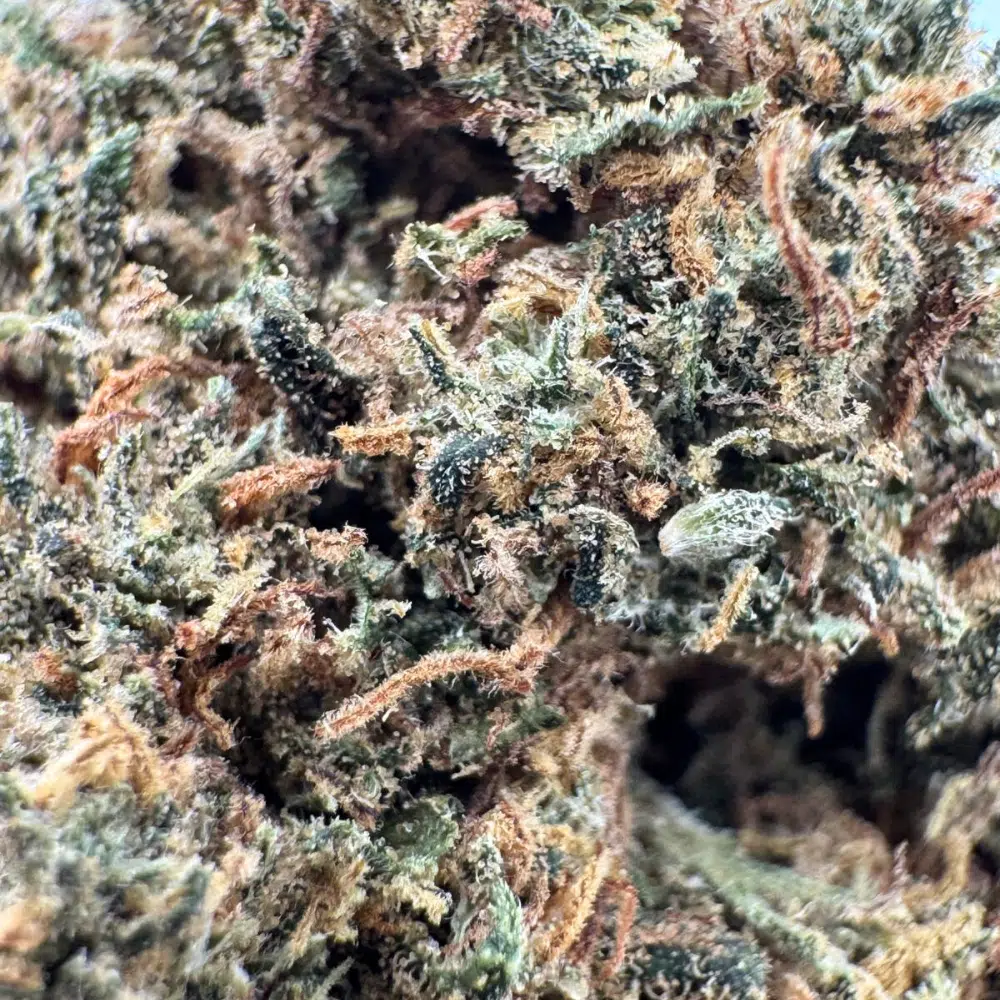Amnesia Haze Greenhouse CBD 11% – Image 4