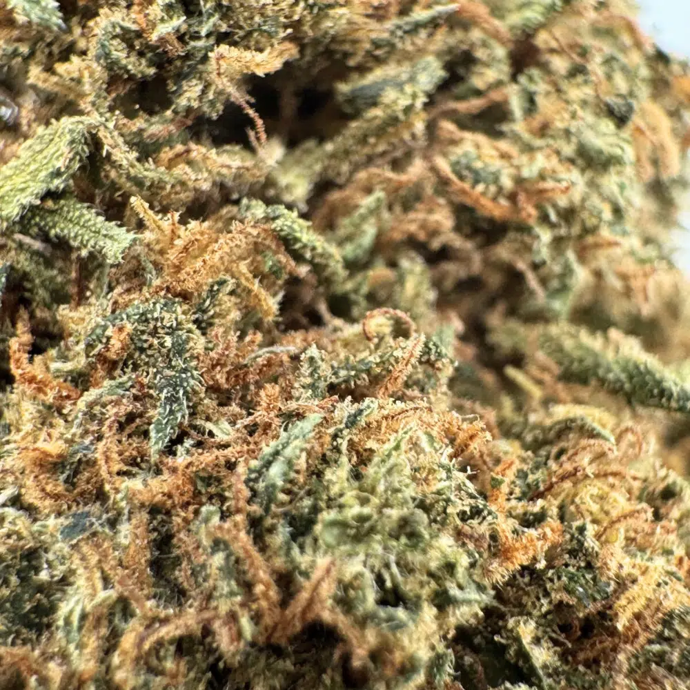 Critical Glasshouse CBD 11% – Image 4