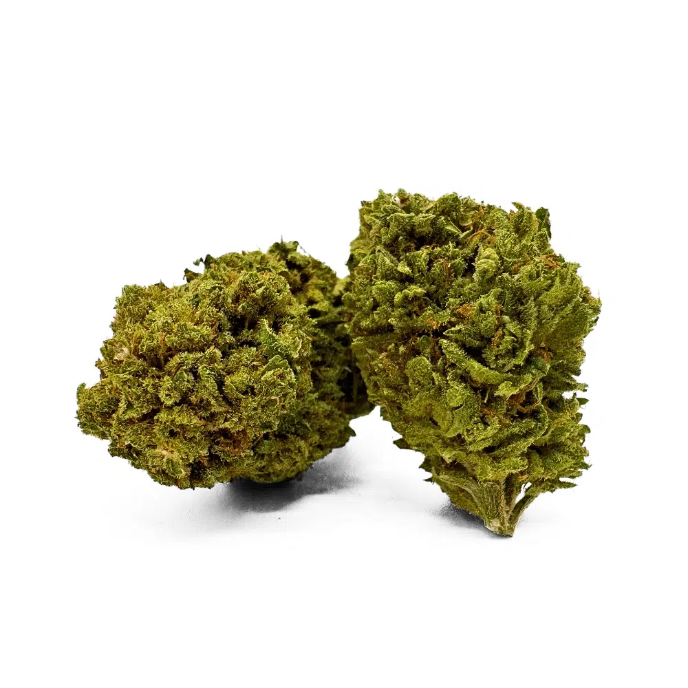 Jack Herrer Greenhouse CBD 11% – Image 3