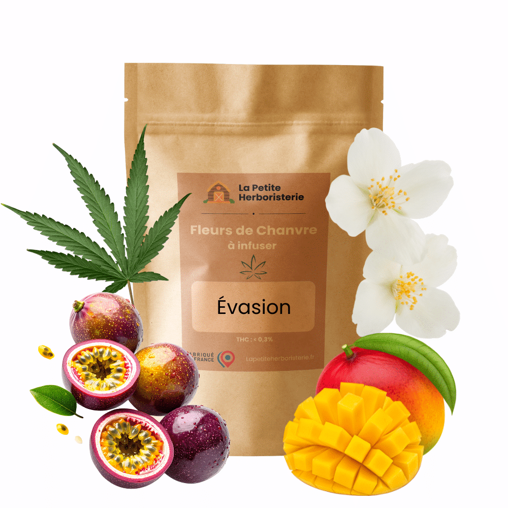 Infusion Évasion Exotique - 30G