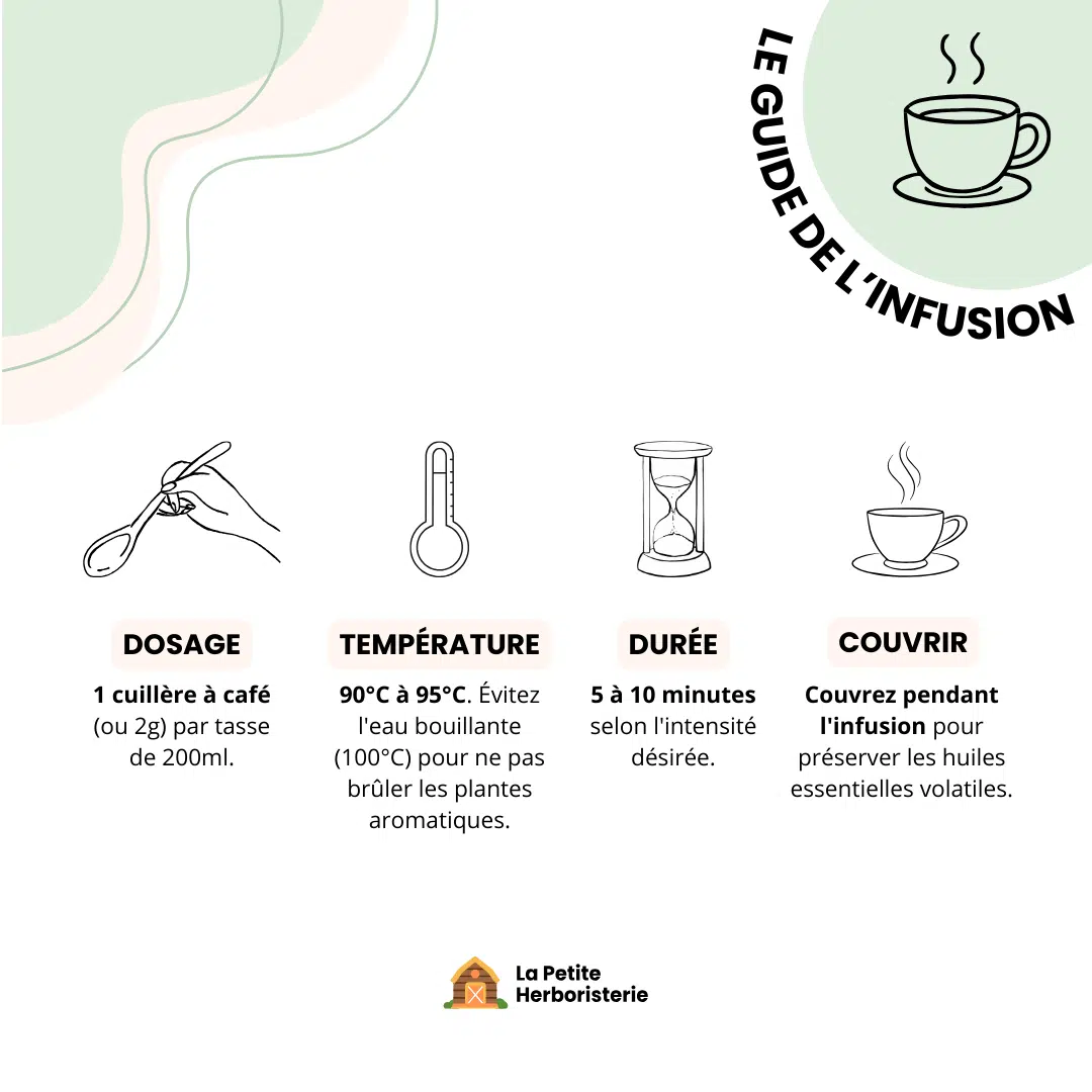 Infographie guide de préparation infusion : dosage, température et temps