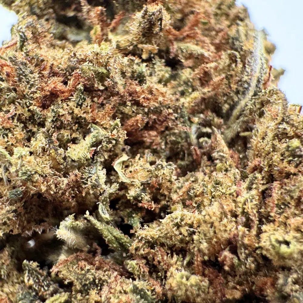 Jamaïcan Dream Glasshouse CBD 11% – Image 4