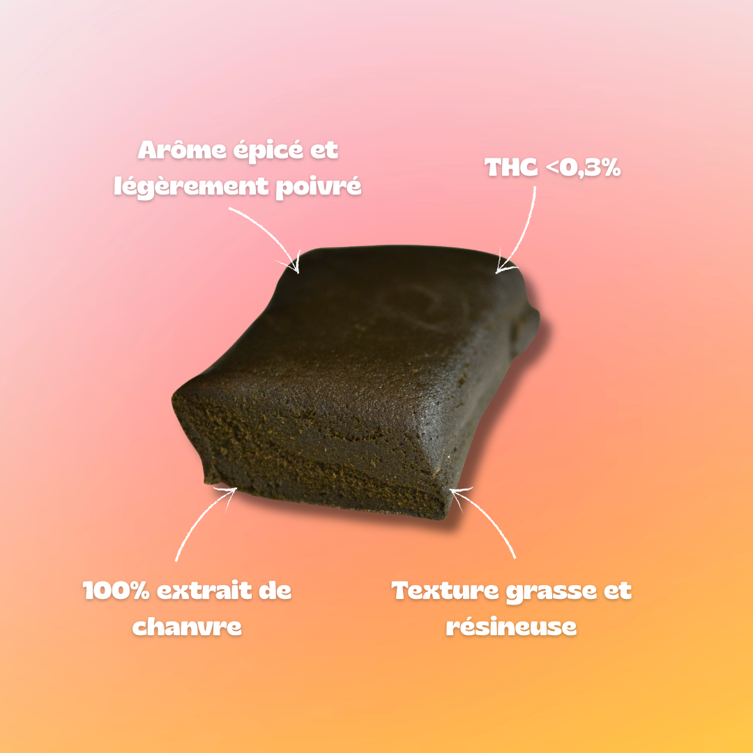 La Terre Noire – Image 4