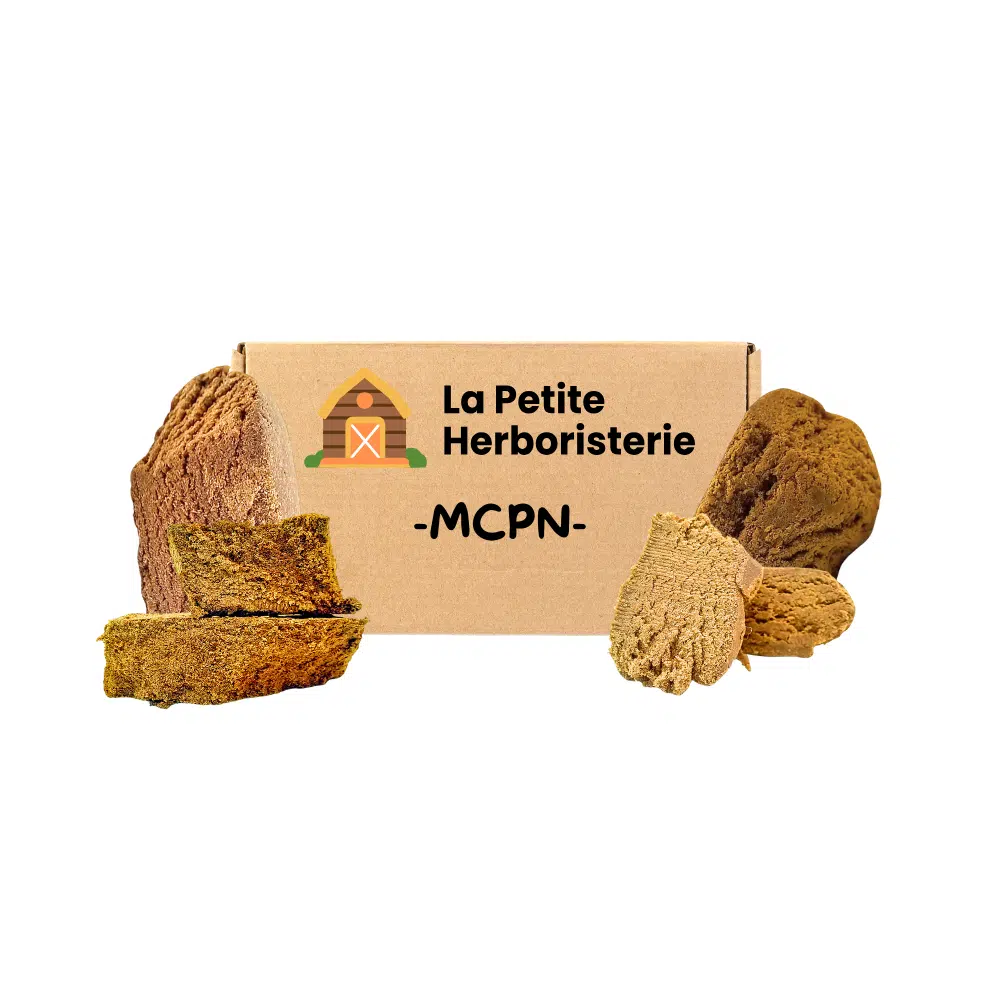 Pack découverte MCPN 4 Résines