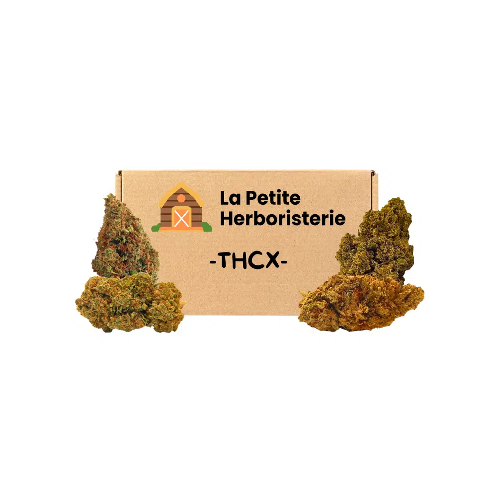 Pack découverte THCX 4 Fleurs