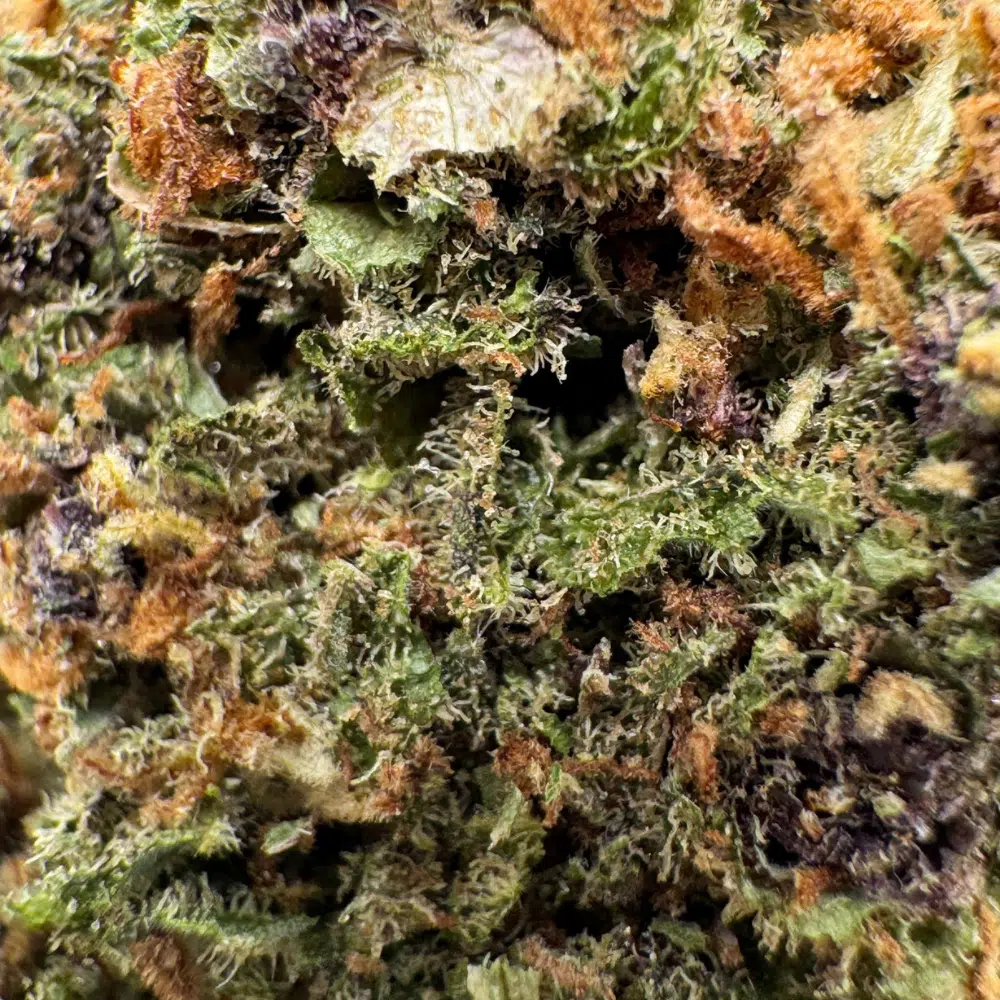 Purple Indoor CBD 20% – Image 4