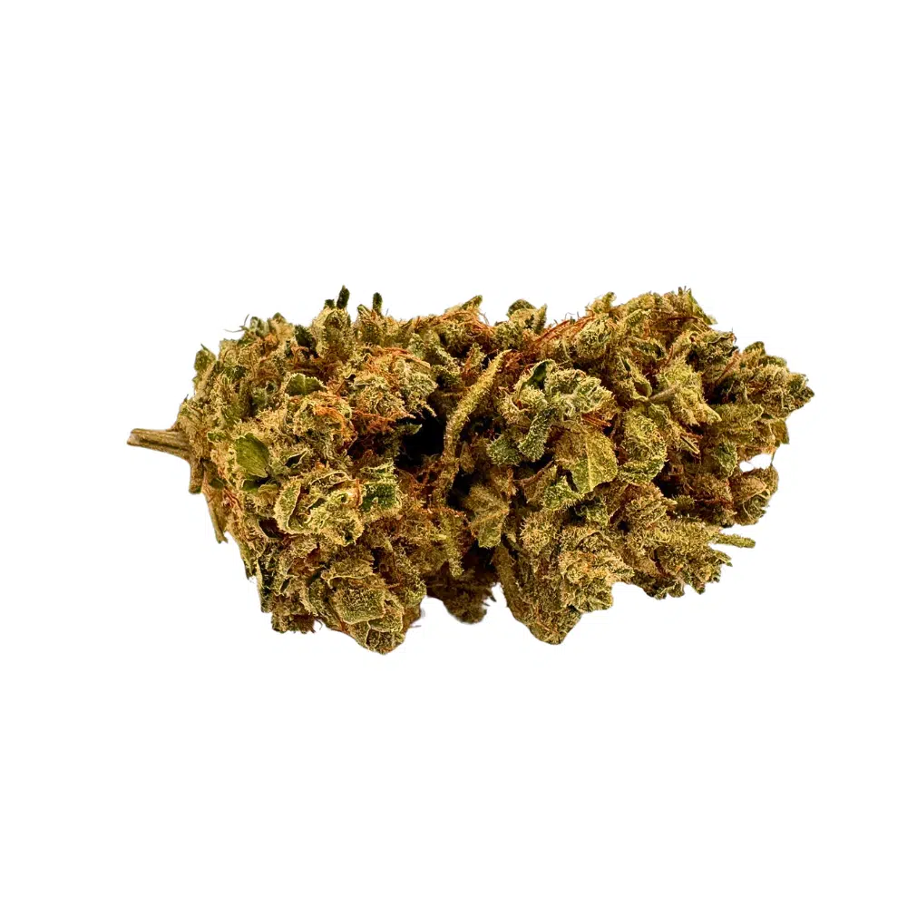 Tropical Haze Indoor CBD 20% – Image 2