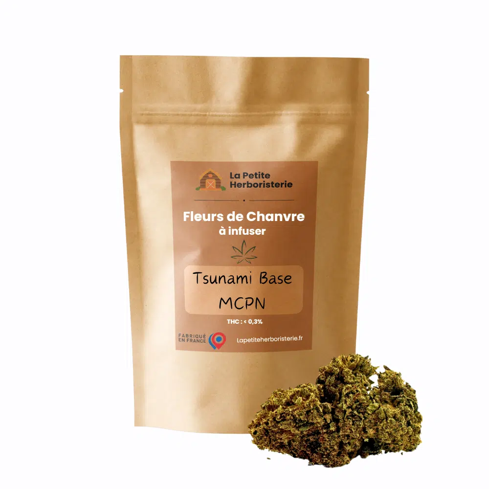 Tsunami Base MCPN 27%