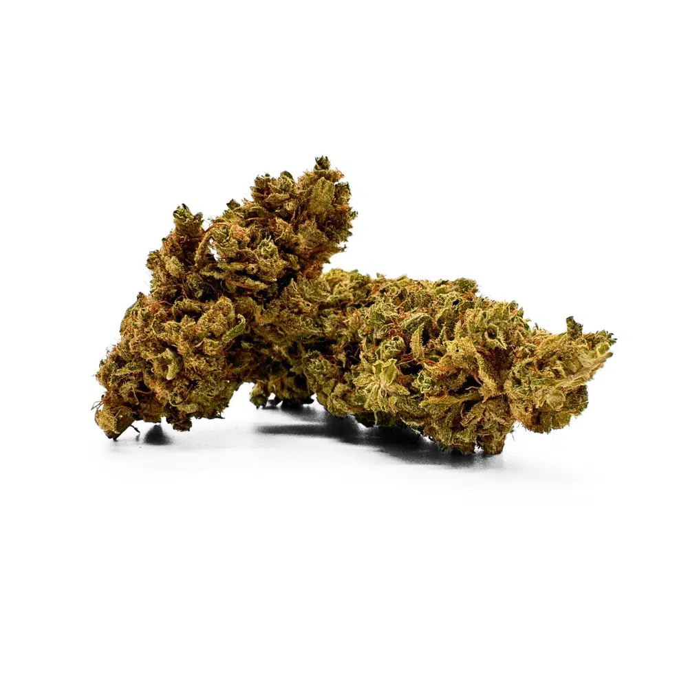 White Widow Indoor CBD 20% – Image 3