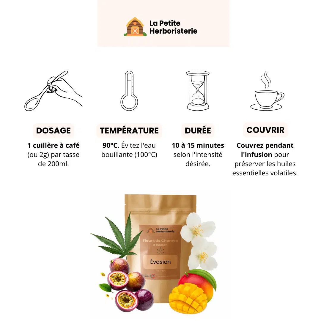 infusion évasion exotique cbd Infographie guide de préparation : dosage, température et temps