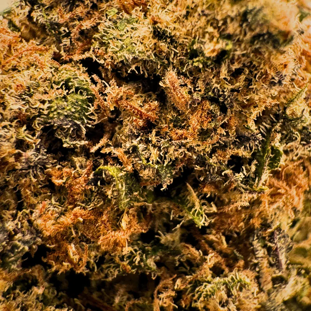 Blue Ace CBNo 22% – Image 4