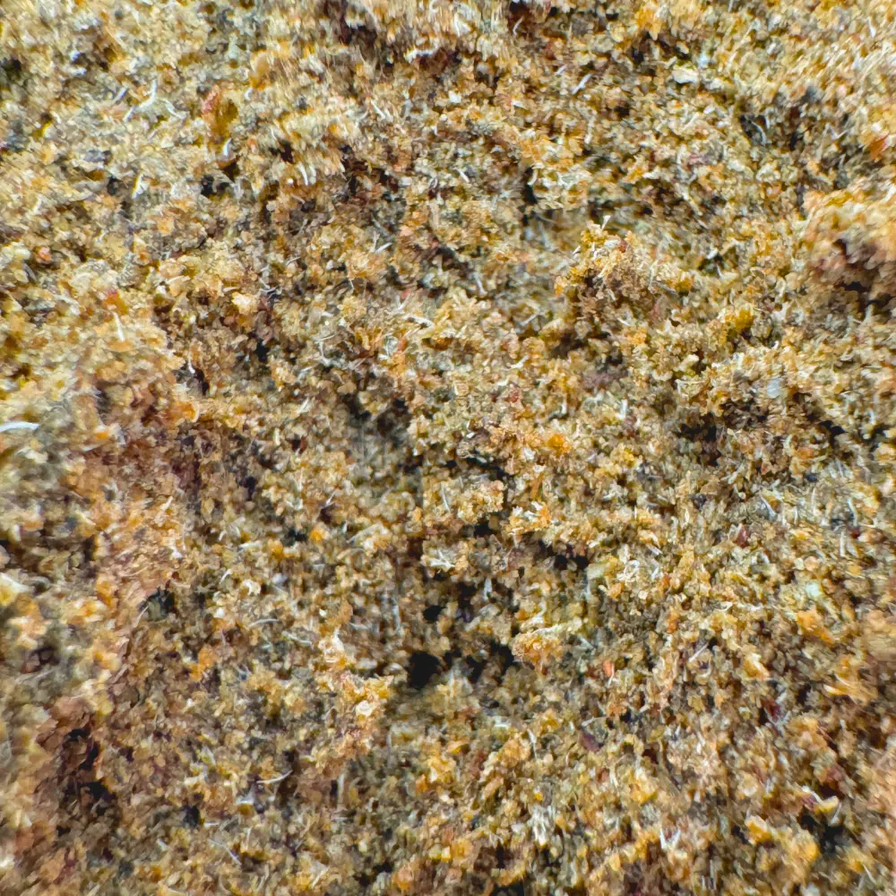 Blue Cheese 10-OH-HHC 27% – Image 4