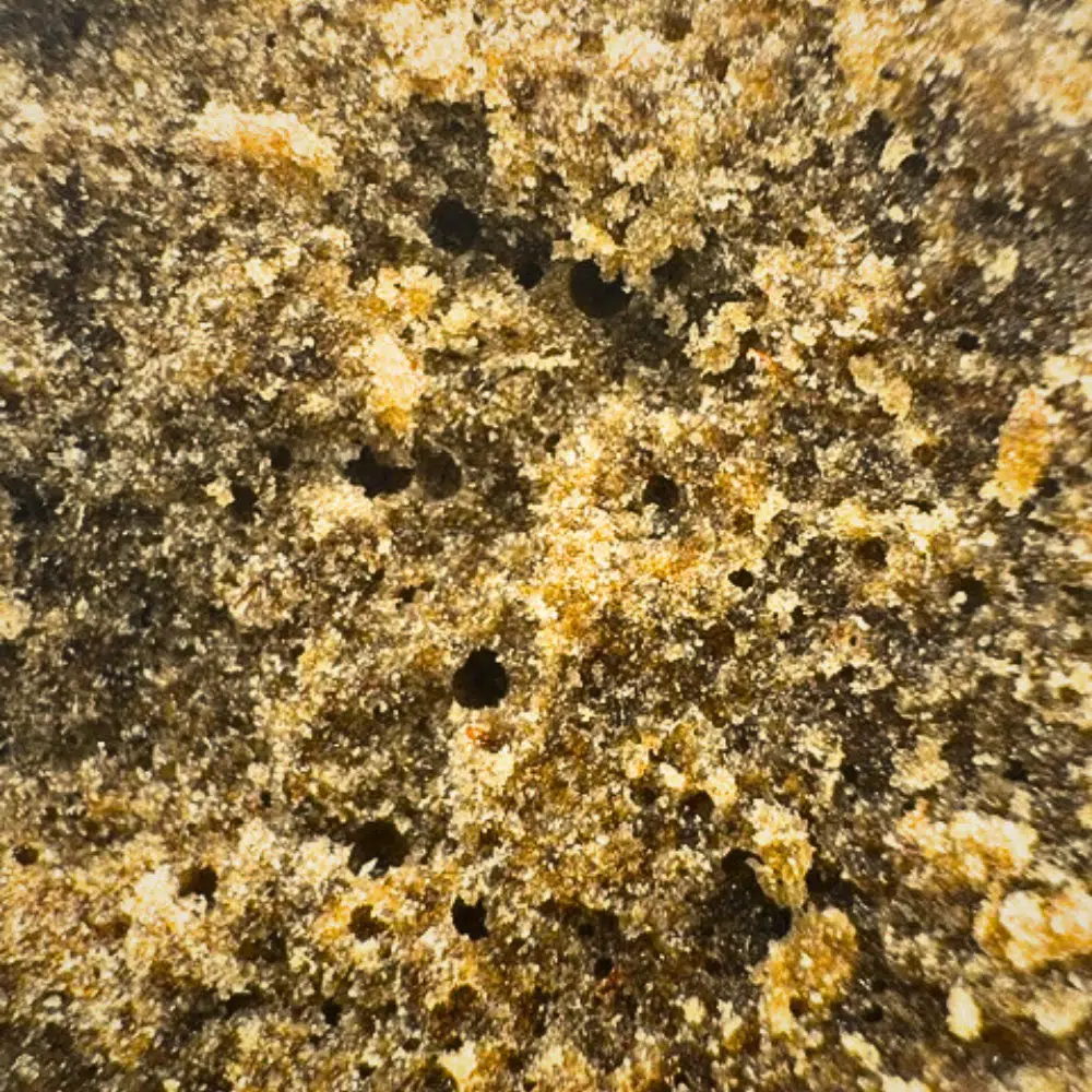 Lemon Skunk 10-OH-HHC 22% – Image 4