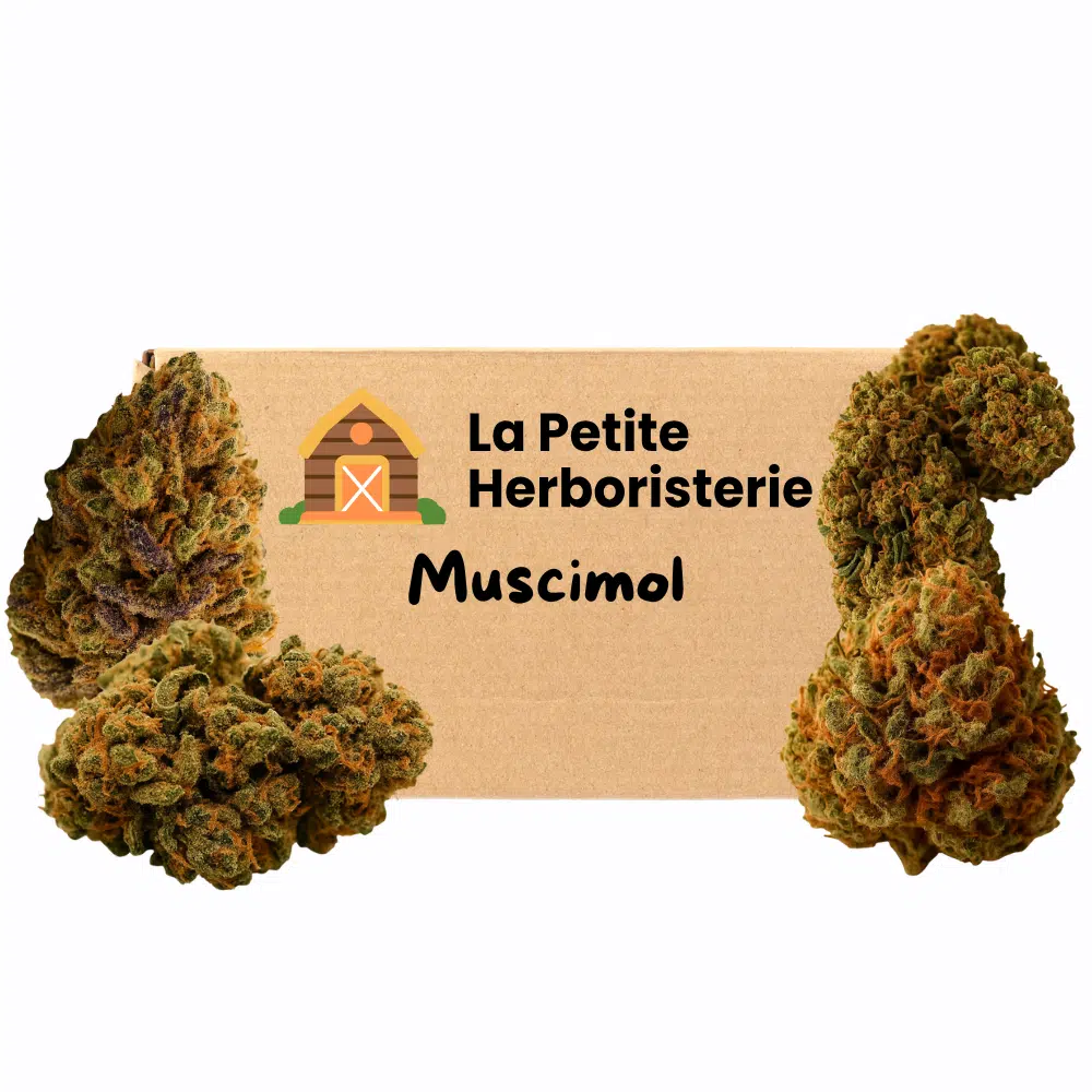 Pack découverte MUSCIMOL 4 Fleurs