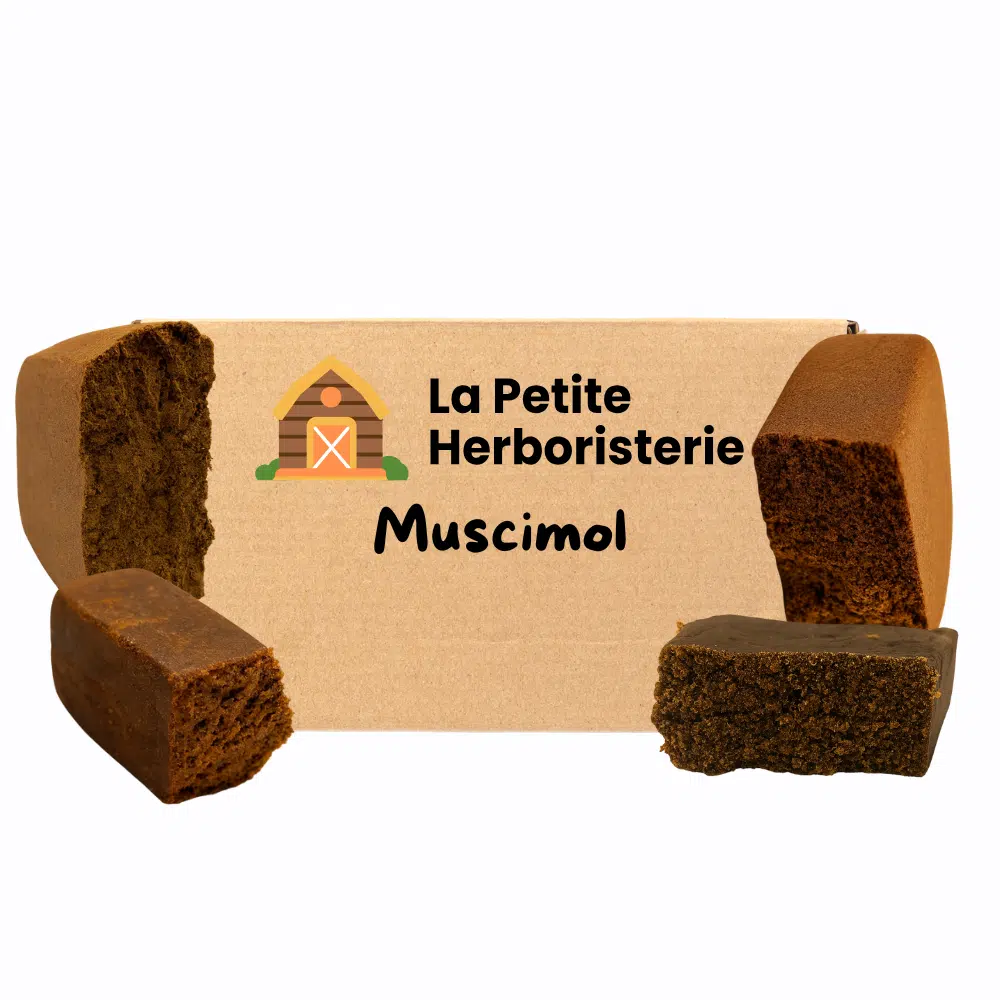 Pack découverte MUSCIMOL 4 Résines