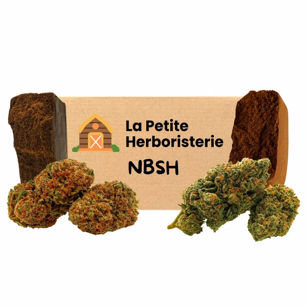 Pack découverte NBSH 2 Fleurs 2 Résines