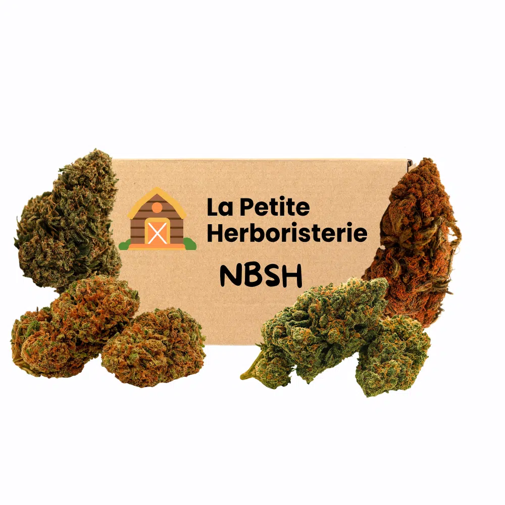 Pack découverte NBSH 4 Fleurs