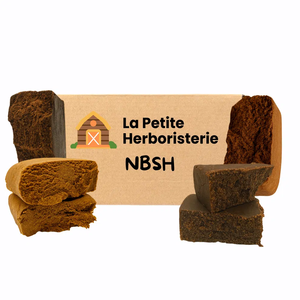 Pack découverte NBSH 4 Résines