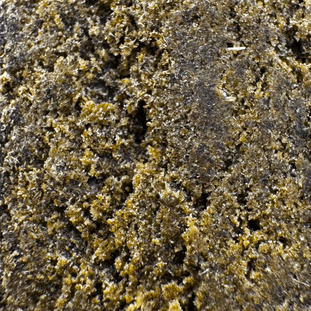 Purple Afghan Kush CBNo 22% – Image 4