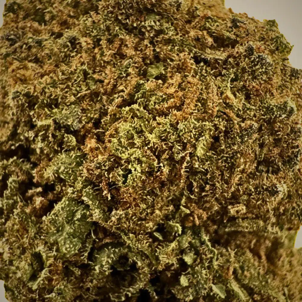 💎Iron Zen VMAC 32% – Image 4