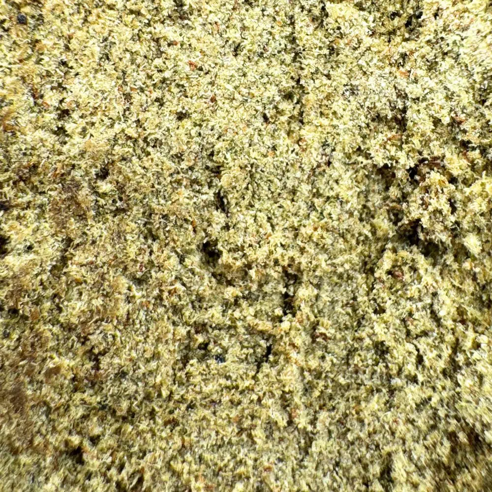 3X Filtré CBN 27% – Image 4