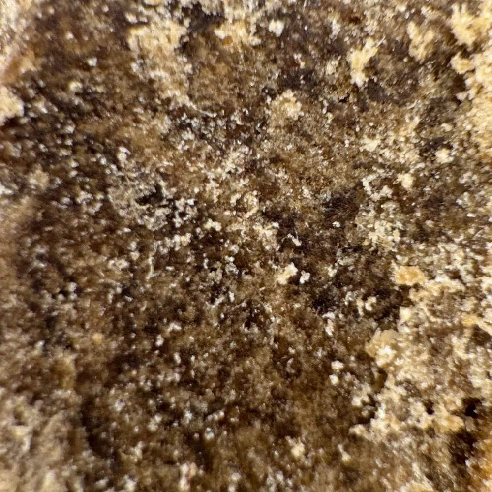 4X Filtré CBN 27% – Image 3