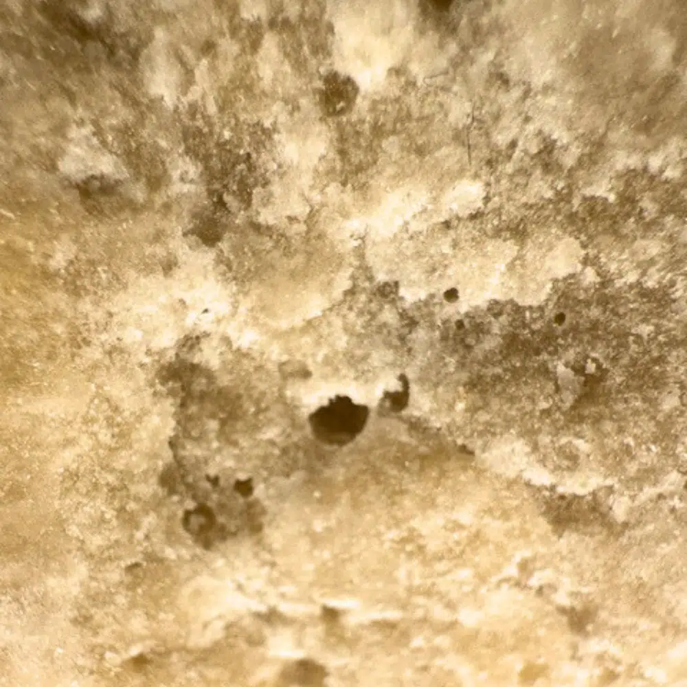 Crumble CBG Pêche 80% – Image 4