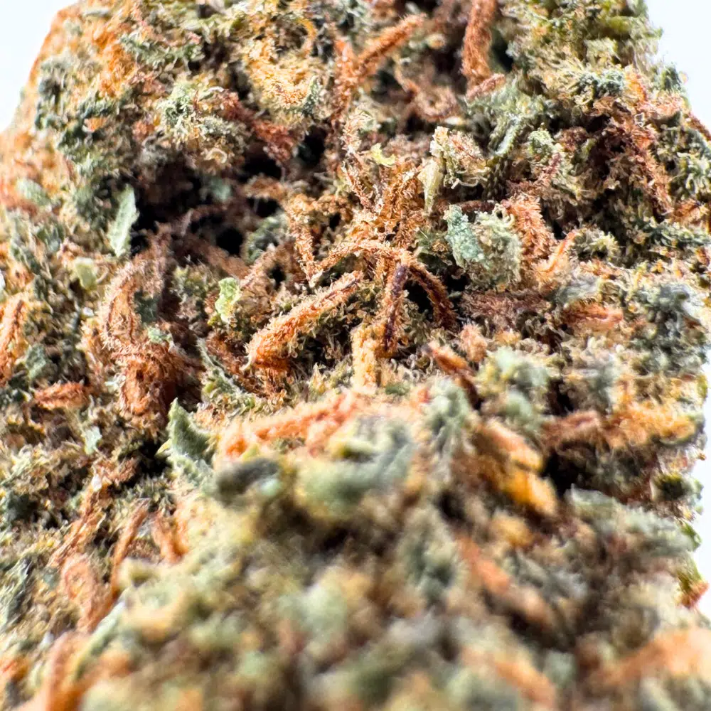 Gelato Glasshouse CBD 11% – Image 4