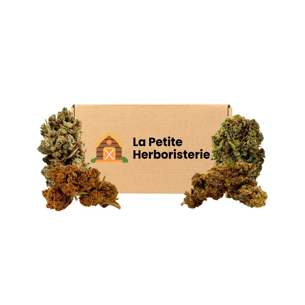Pack Découverte CBG 4 fleurs