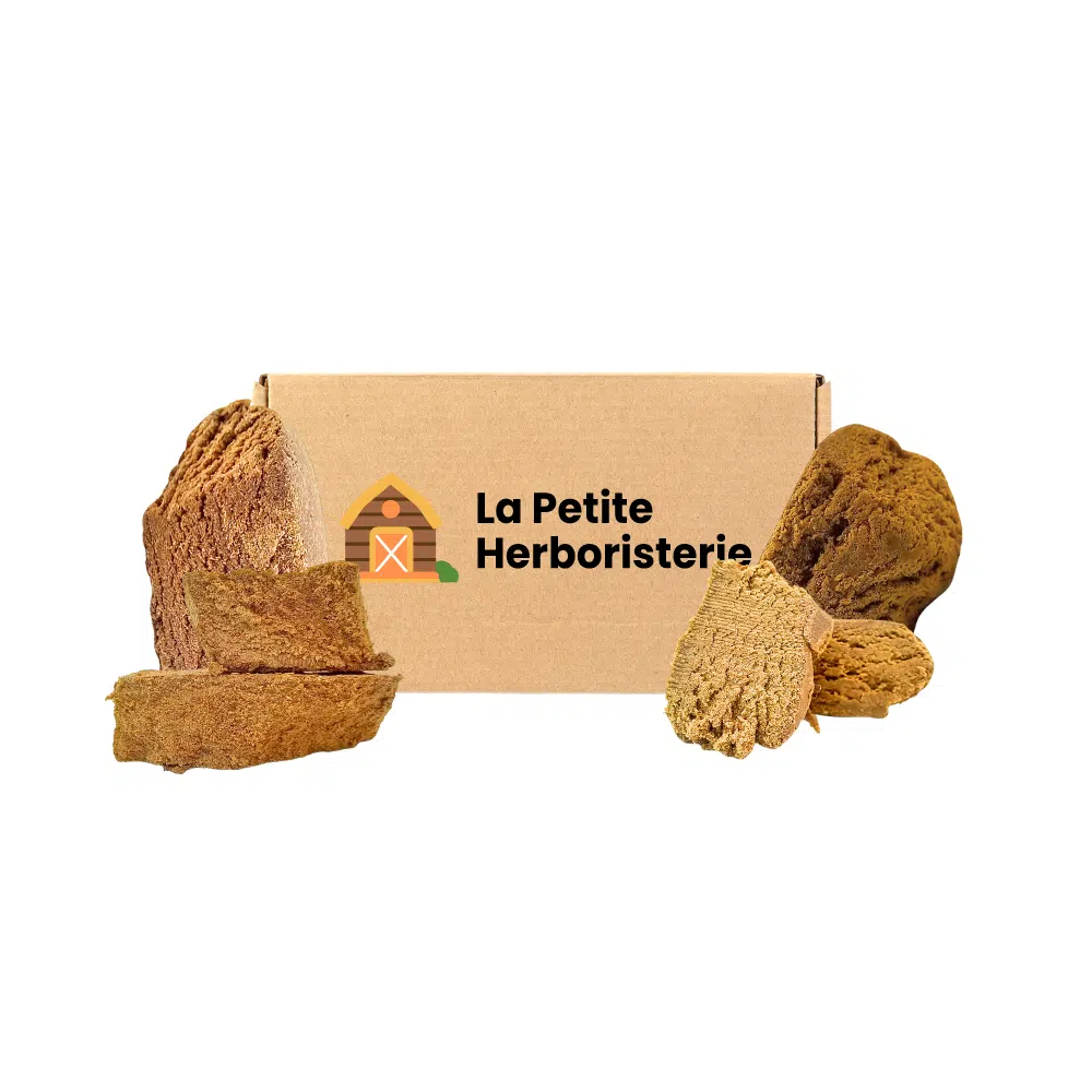 Pack Découverte CBNo 4 résines