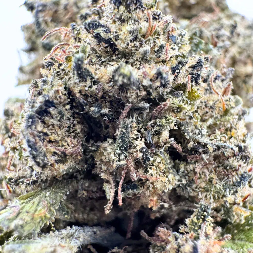 Skywalker Original Greenhouse CBD 11% – Image 4