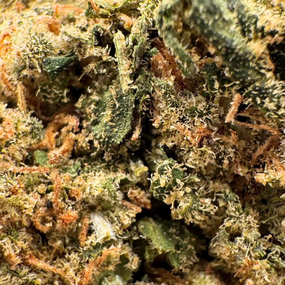 Ultra Skunk THV-N10 22% – Image 4