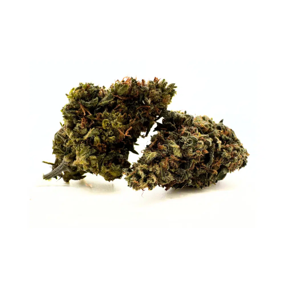 Amnesia haze RAF 22% – Image 3