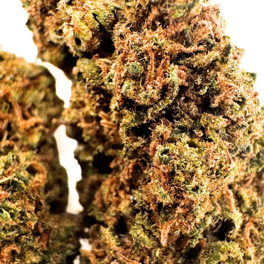 Furia Verde MUSCIMOL 27% – Image 4