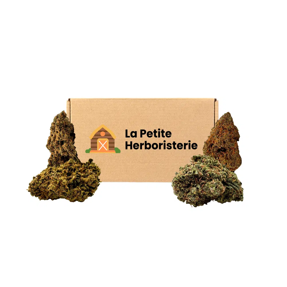 Pack Découverte 4 fleurs Glasshouse CBD