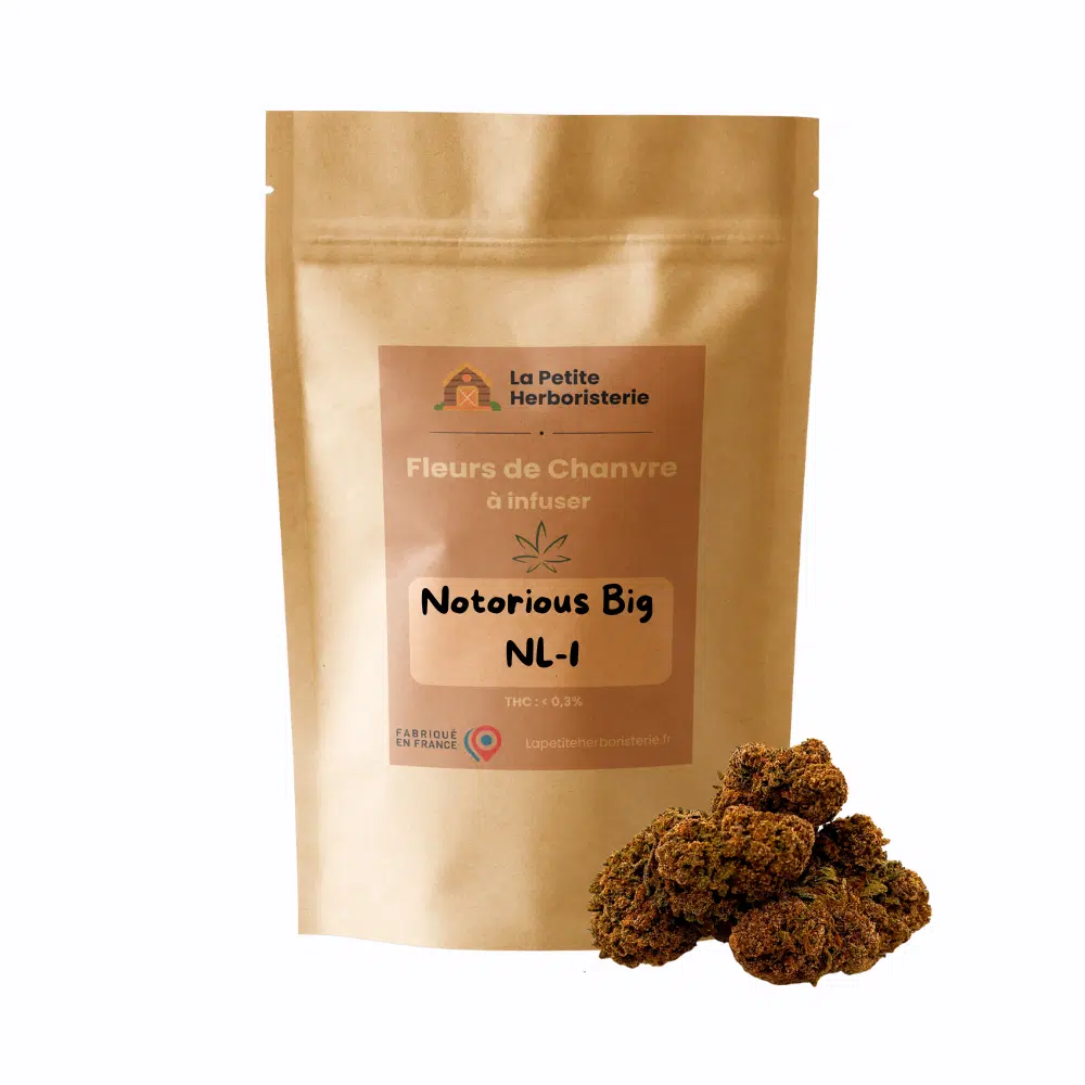 Notorious Big NL-1 22%