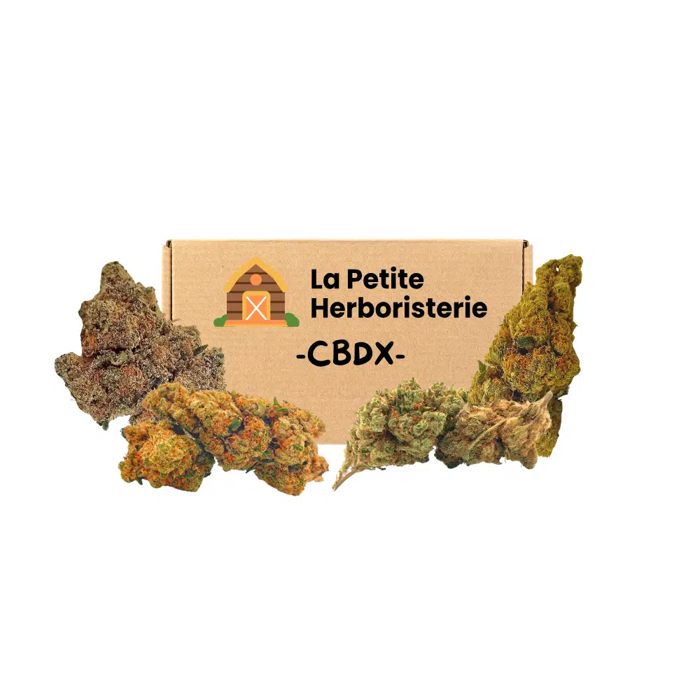 Pack découverte CBDX 4 Fleurs