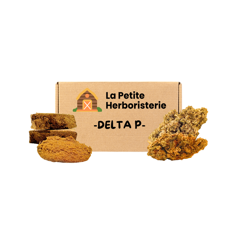 Pack découverte DELTA P 2 Fleurs 2 Résines