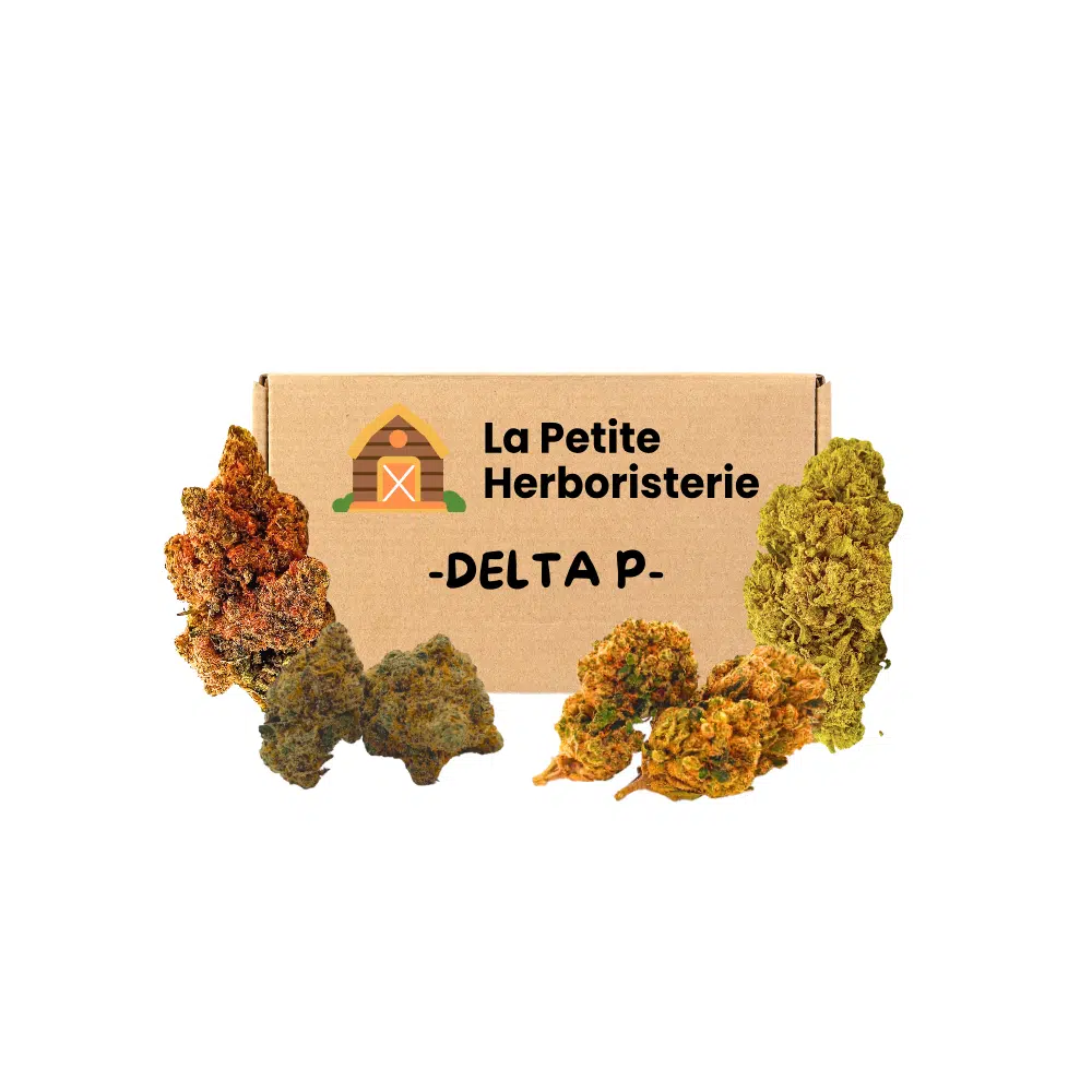 Pack découverte DELTA P 4 Fleurs