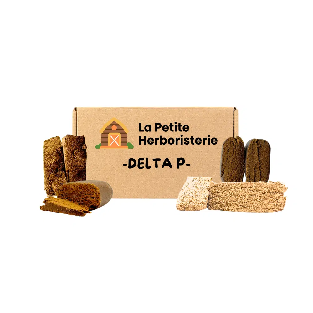 Pack découverte DELTA P 4 Résines