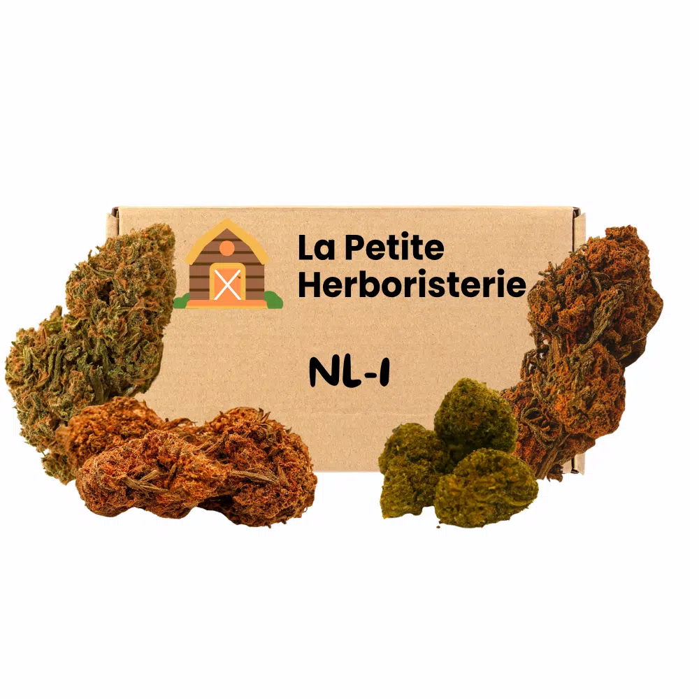 Pack découverte NL-1 4 Fleurs