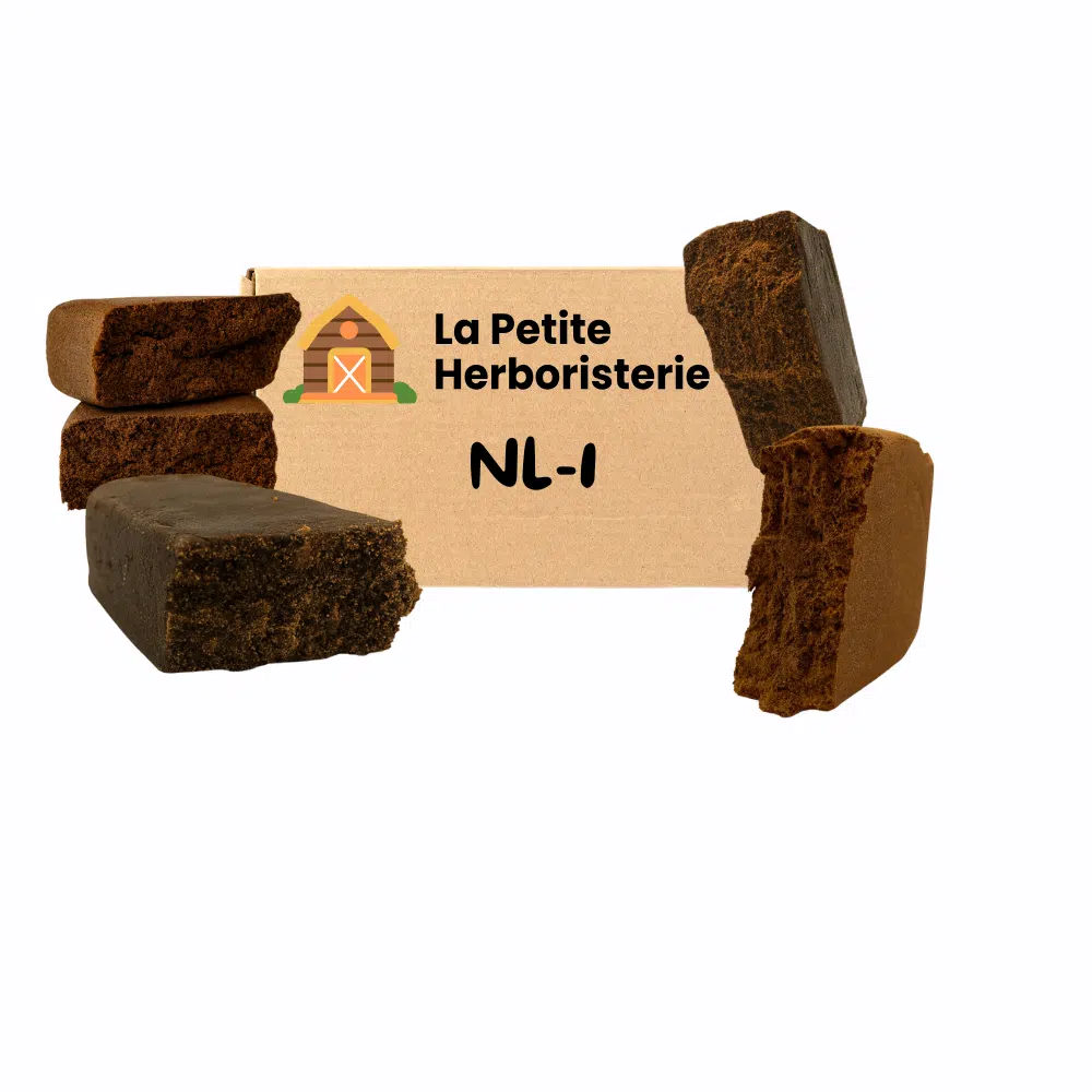 Pack découverte NL-1 4 Résines