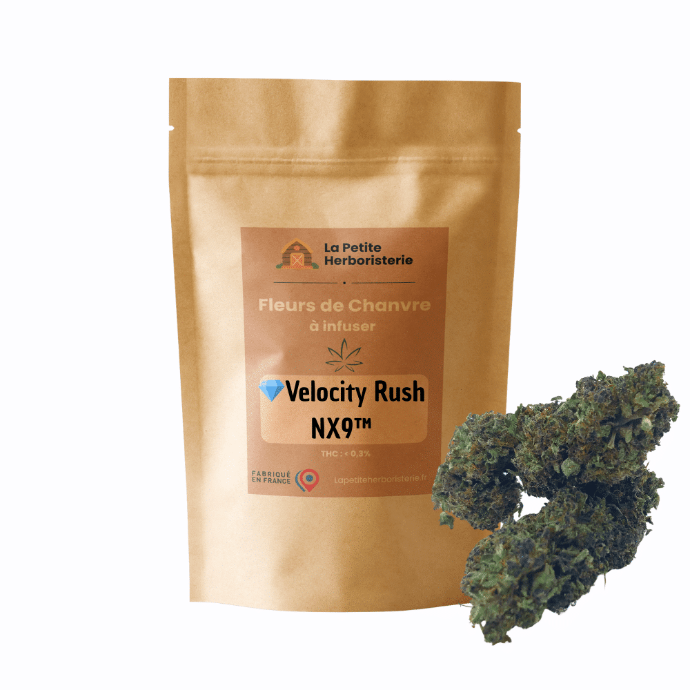 Velocity Rush NX9™ 27%