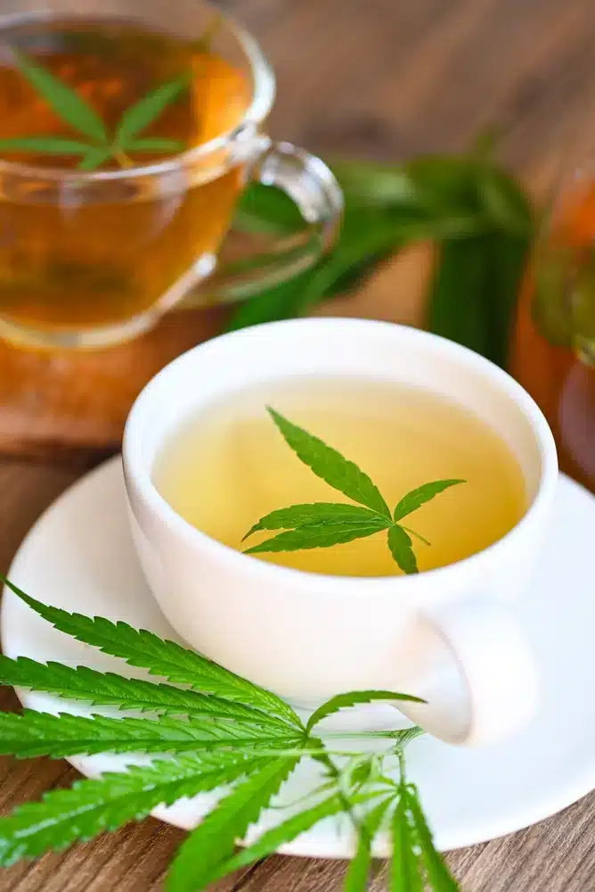 Tasse d'une infusion de CBD pour le sommeil
