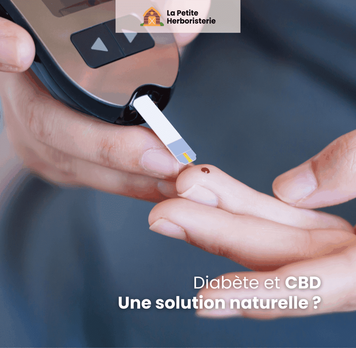 Diabète et cbd
