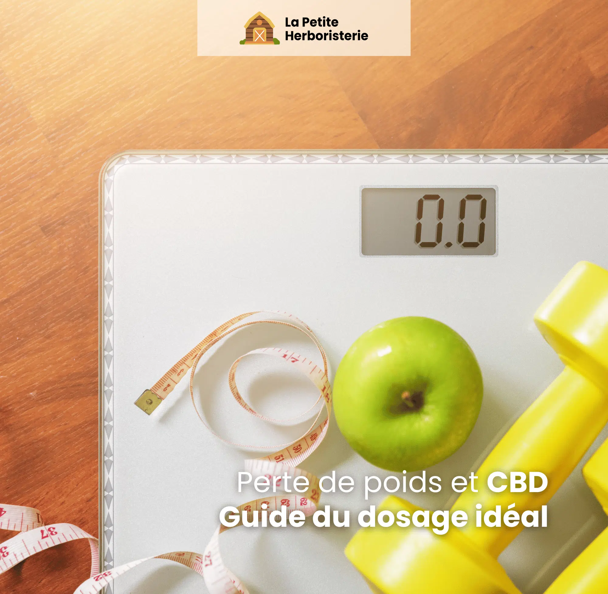 Guide dosage cbd pour maigrir