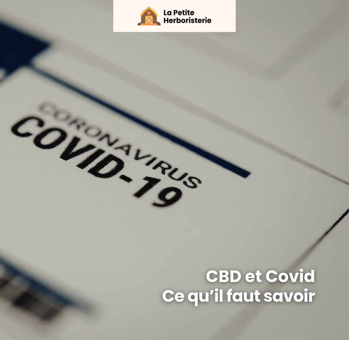 CBD et covid, ce qu'il faut savoir